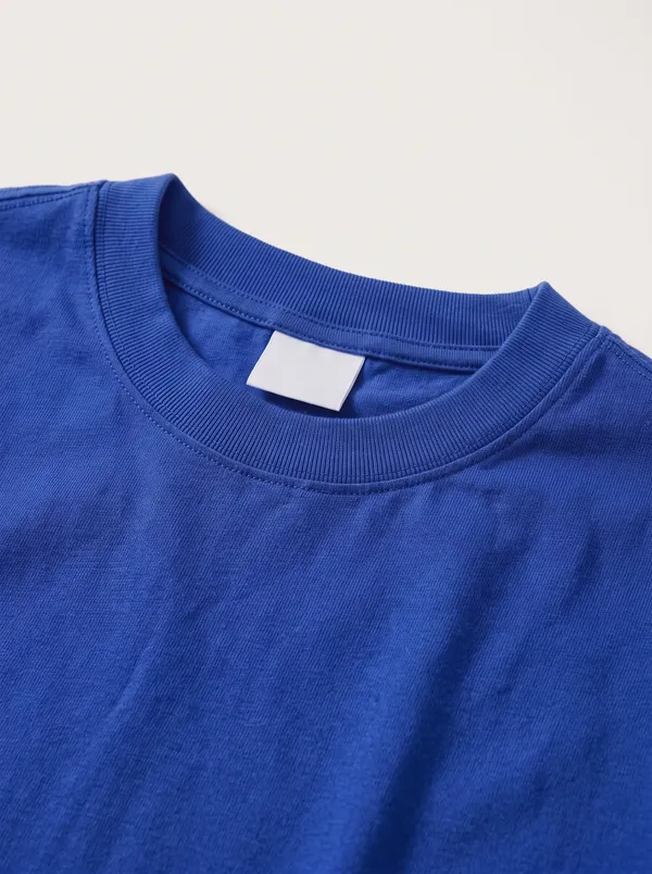 A close view of the collar