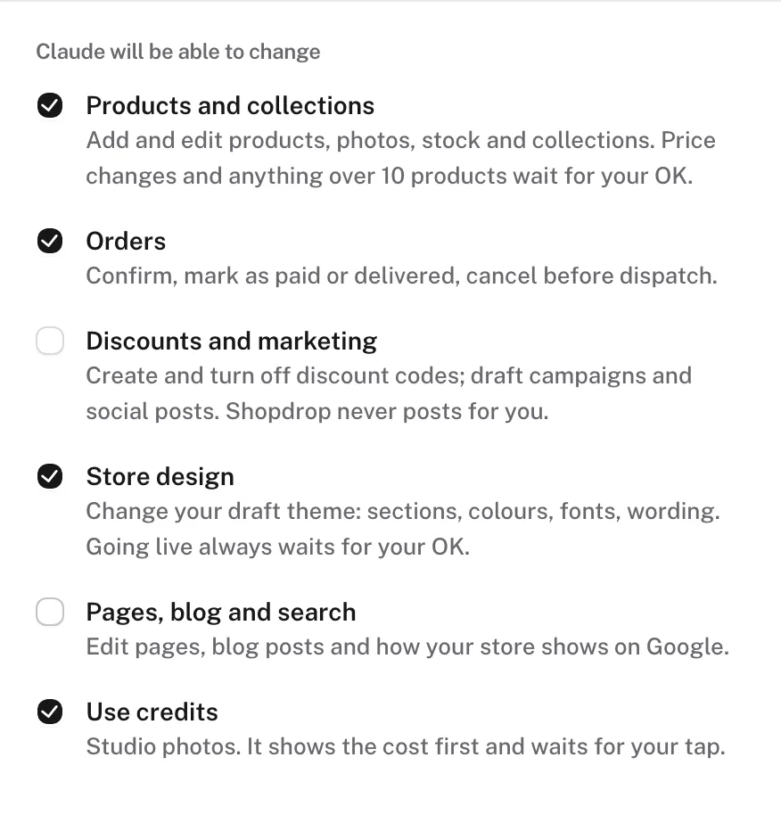 The sign-in's list of what the assistant may change, with Discounts and marketing, and Pages, blog and search, left unticked.